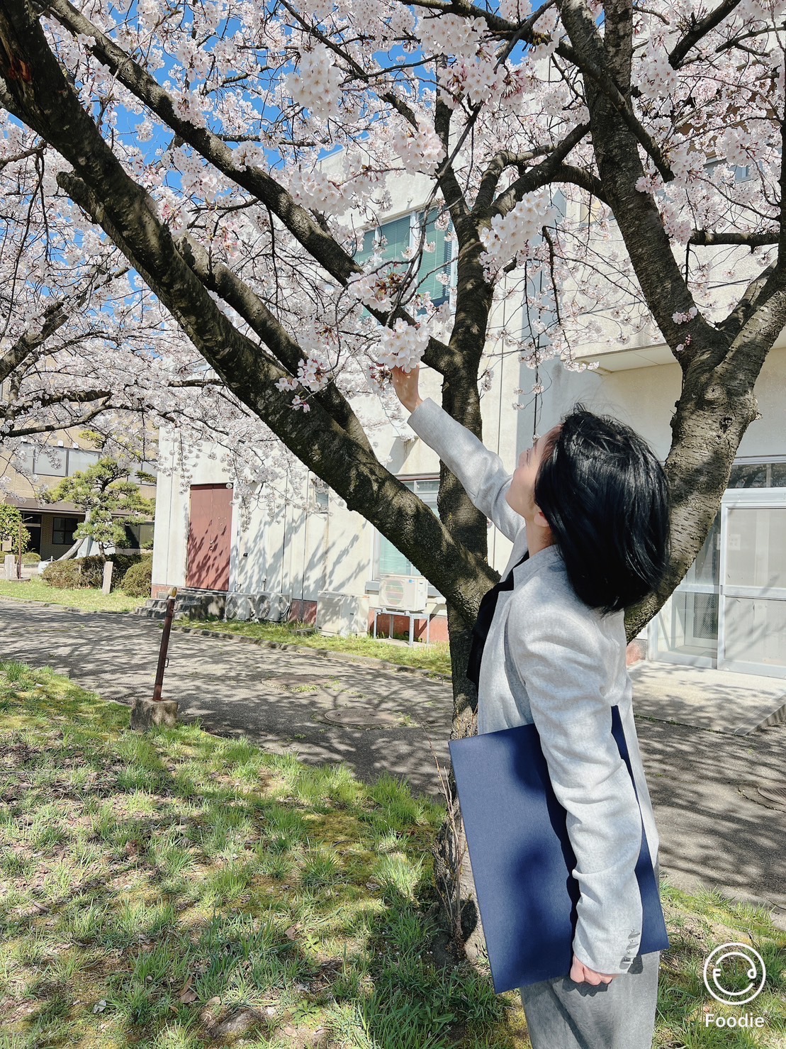 桜ももう直ぐ満開お花見シーズン到来！！